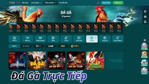 Các sảnh chơi đá gà trực tiếp VU88 hấp dẫn nhất hiện nay