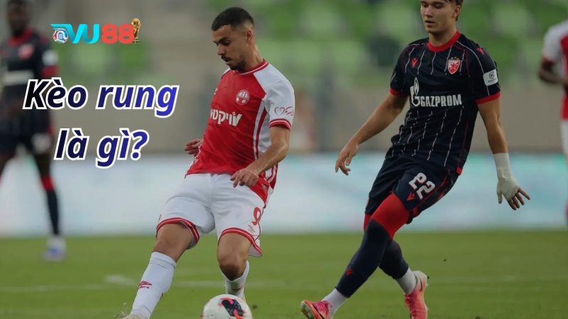Những yếu tố ảnh hưởng đến biến động của kèo rung Những yếu tố ảnh hưởng đến biến động của kèo rung